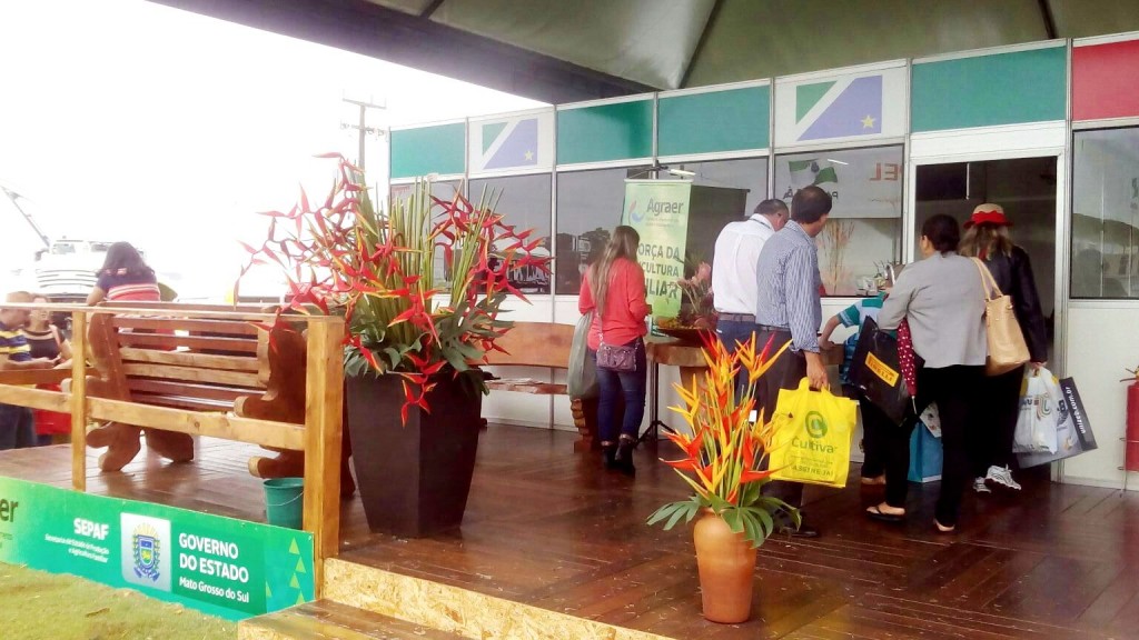 Foto  Hélio Agraer 0