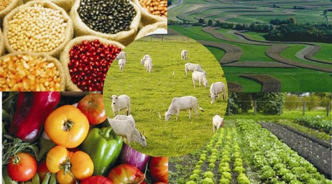 O agronegócio lidera os setores em que há escassez de mão de obra (na VEJA)  – SEMADESC