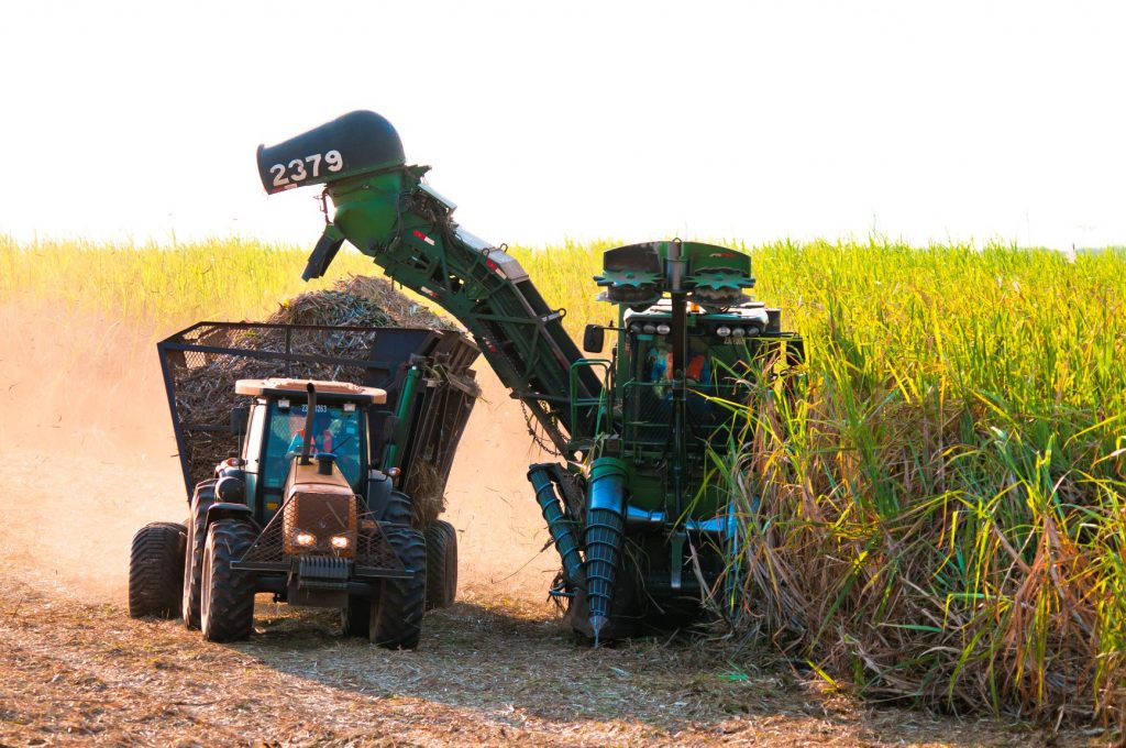 Brasil e EUA debatem rever barreiras ao açúcar em troca de liberação para o  etanol - Revista RPAnews