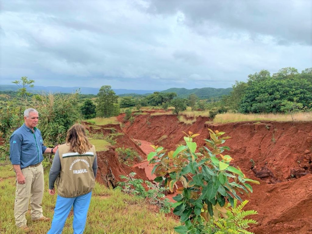 'Sementes do Taquari' muda Parque com plantio de mudas e recuperação de áreas degradadas