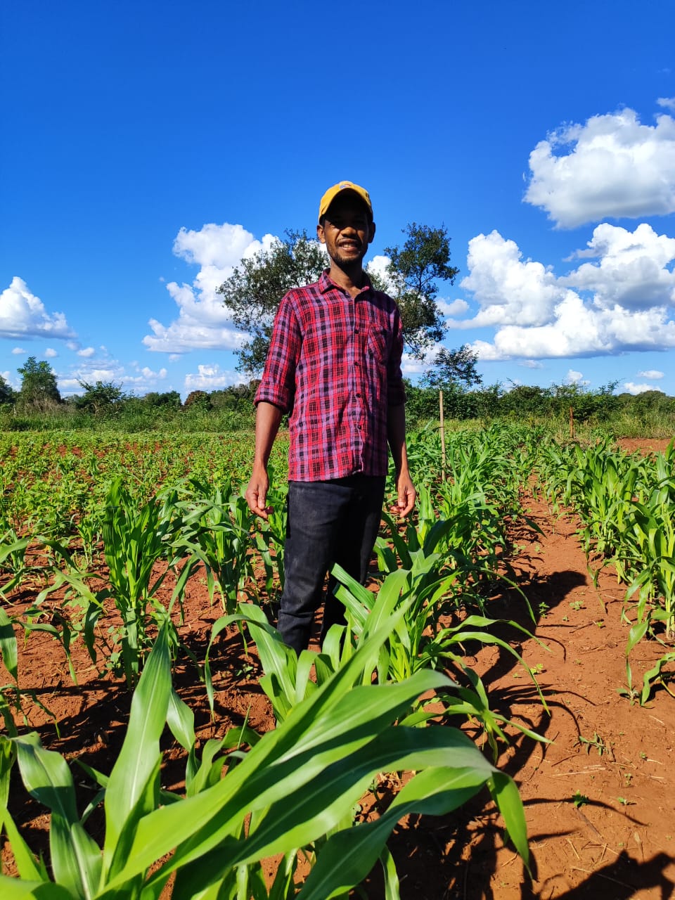 Governo Federal destina R$ 1 milhão ao PAA Quilombola em Mato Grosso do Sul Governo Federal destina R$ 1 milhão ao PAA Quilombola em Mato Grosso do Sul