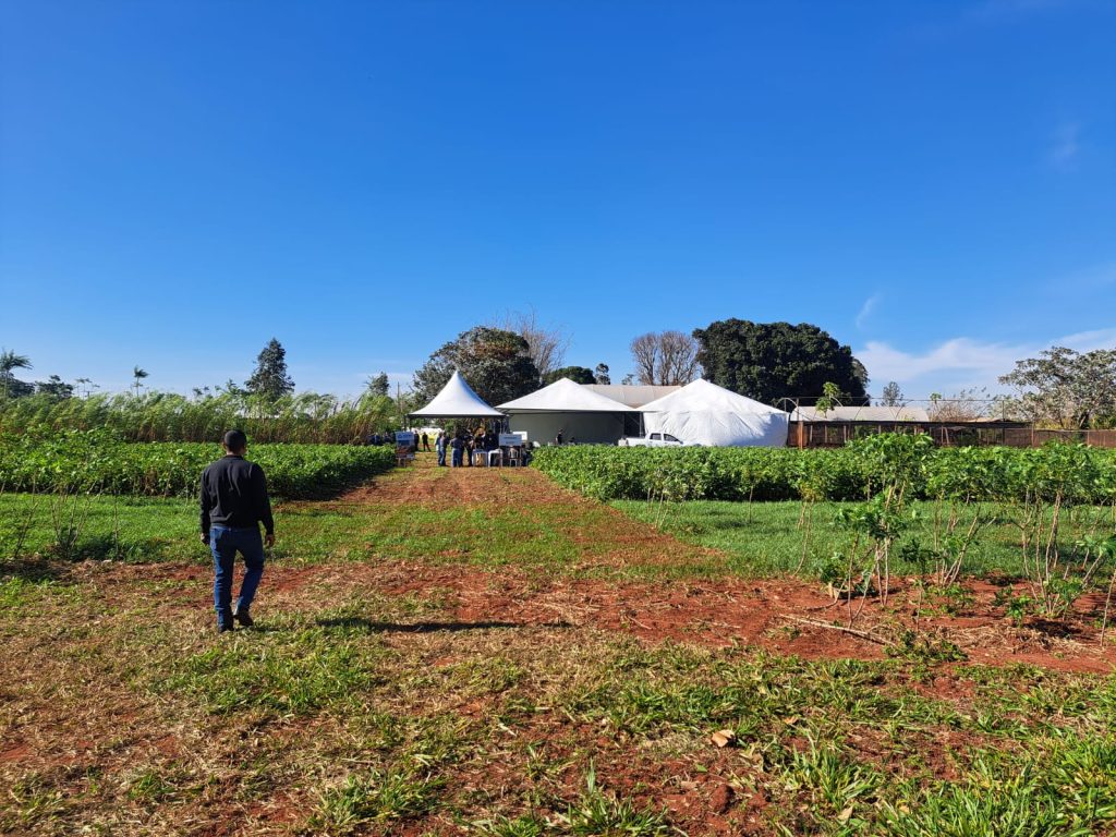 Agricultura familiar vive momento de relevância com sistema agroflorestal e economia de carbono Agricultura familiar vive momento de relevância com sistema agroflorestal e economia de carbono