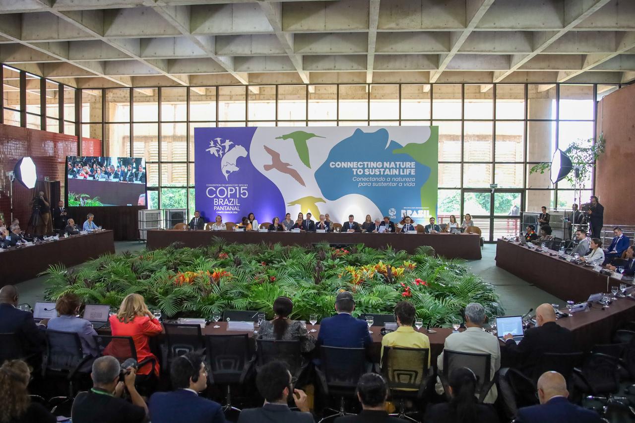 COP15 do Pantanal começa com desafio de ampliar espaço de proteção às espécies migratórias COP15 do Pantanal começa com desafio de ampliar espaço de proteção às espécies migratórias