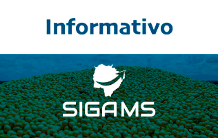 Informativo siga ms.